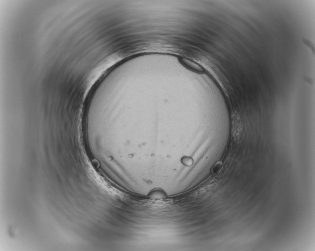 X0000102241139200808151747