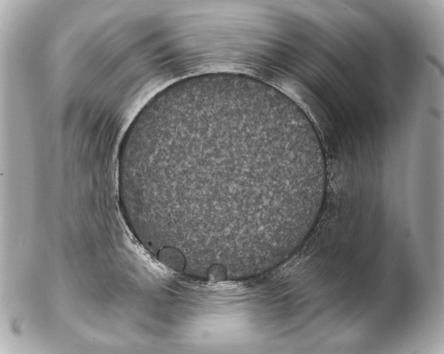 X0000102241140200808151747