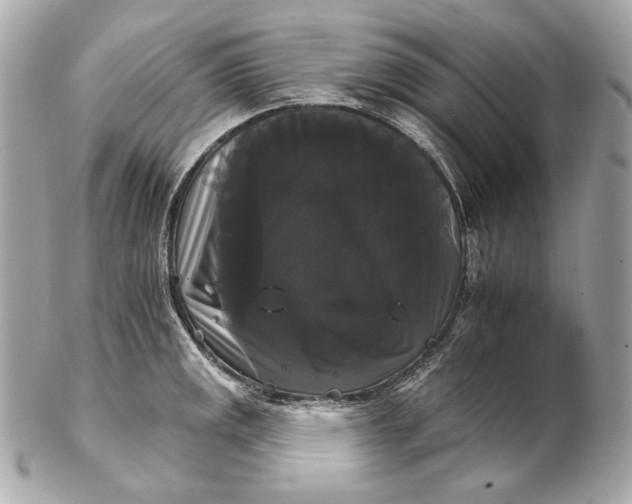 X0000102241141200808151747