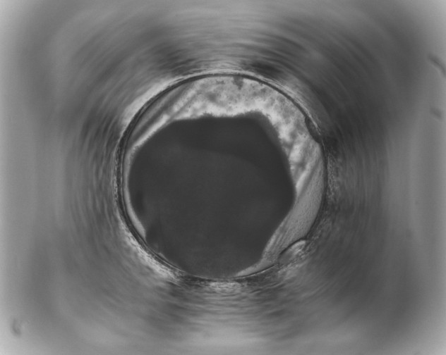 X0000102241142200808151747