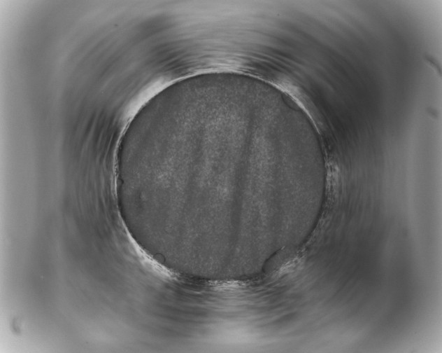 X0000102241143200808151747