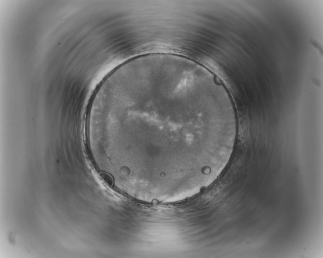 X0000102241144200808151747