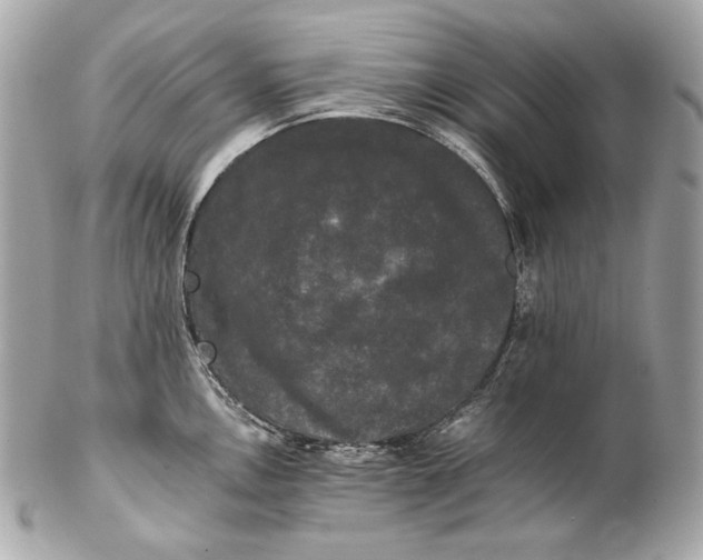 X0000102241146200808151747