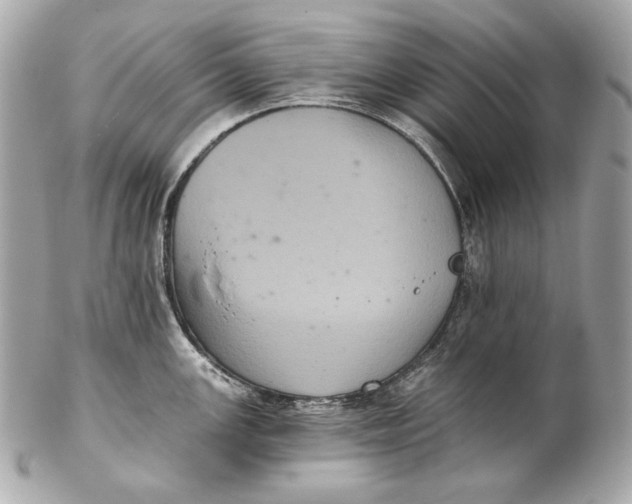 X0000102241147200808151747