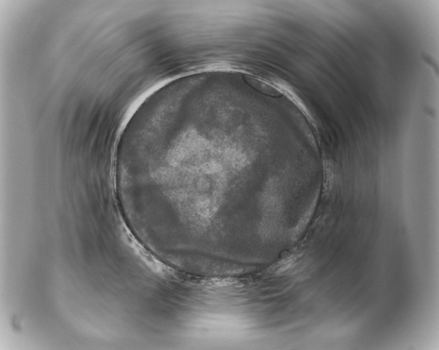 X0000102241148200808151747