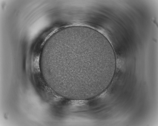 X0000102241150200808151747