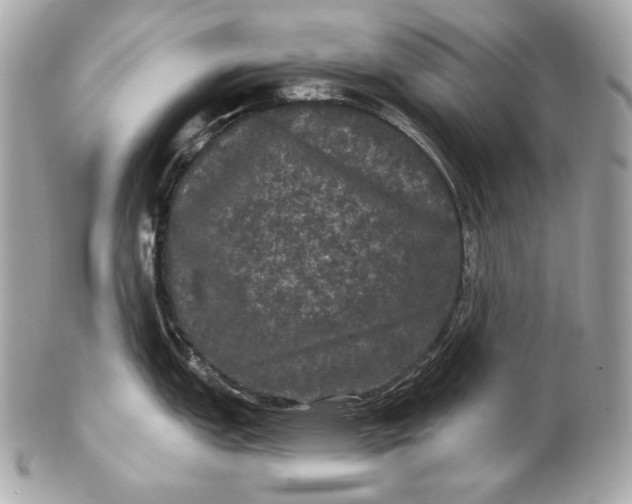 X0000102241151200808151747