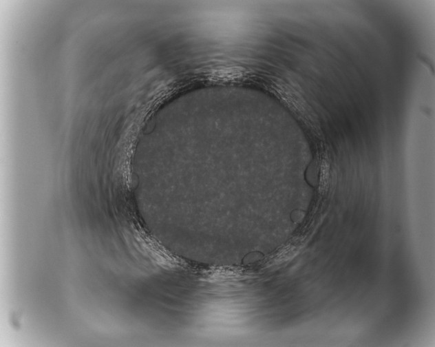 X0000102241153200808151746