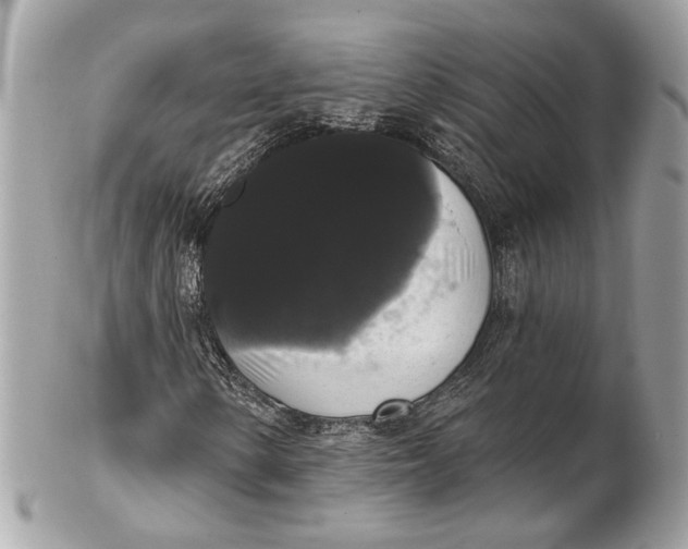 X0000102241154200808151746