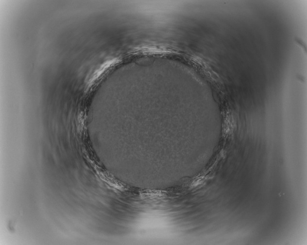 X0000102241157200808151746