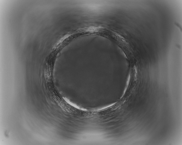 X0000102241158200808151746