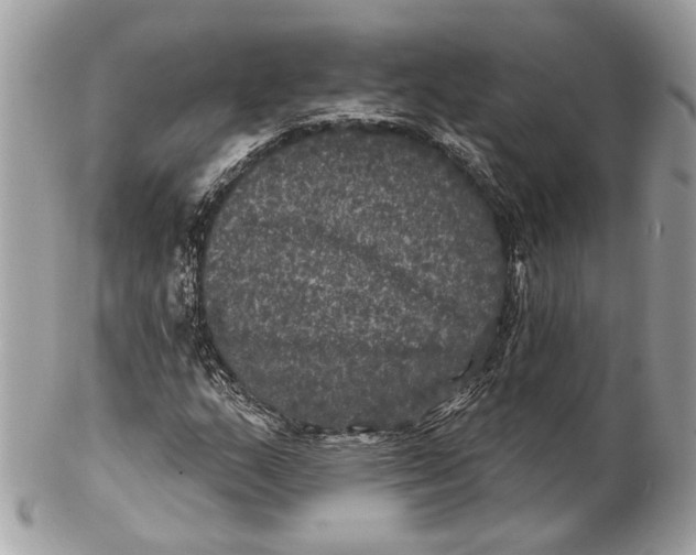 X0000102241159200808151746