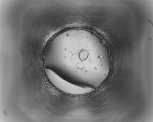 X0000102241160200808151746