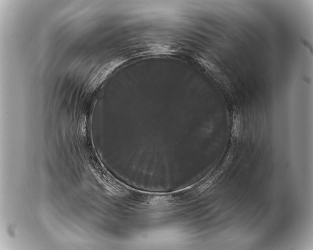 X0000102241161200808151746