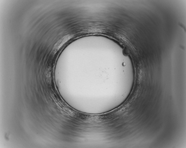 X0000102241162200808151746