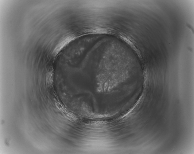 X0000102241163200808151746