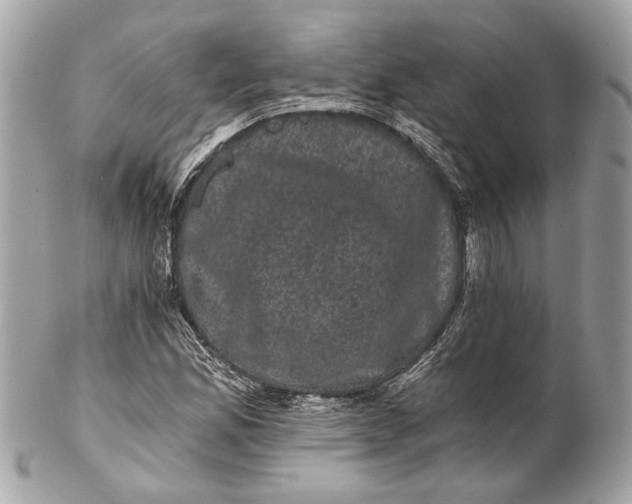 X0000102241165200808151746