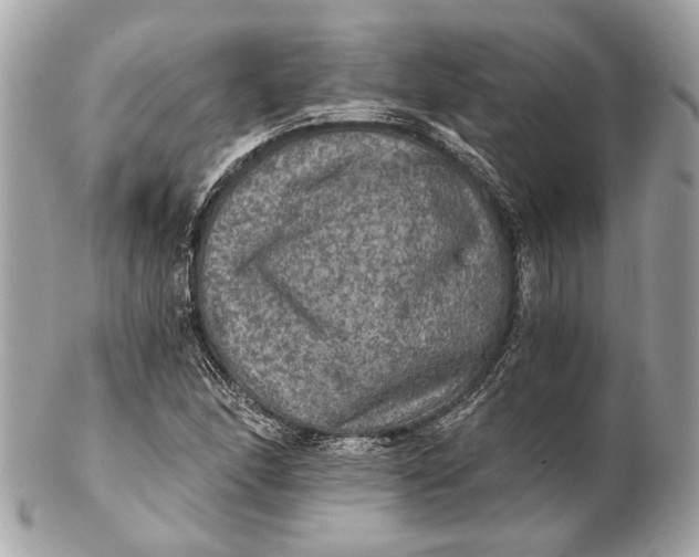 X0000102241166200808151746