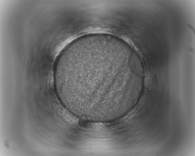 X0000102241167200808151746