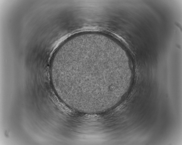 X0000102241168200808151746