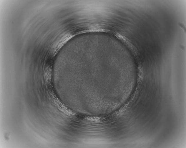 X0000102241169200808151746