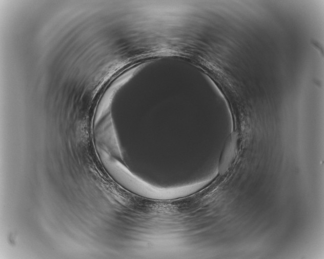 X0000102241170200808151746