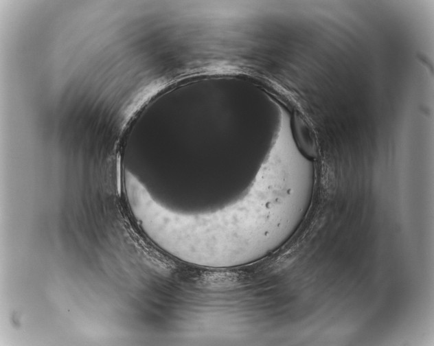 X0000102241171200808151746