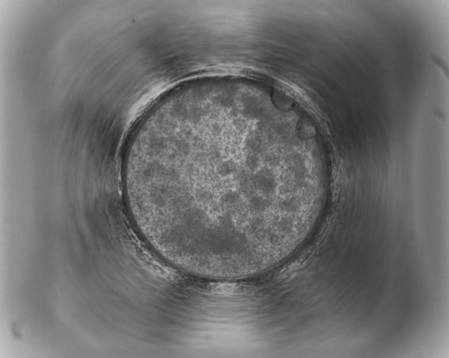 X0000102241172200808151746