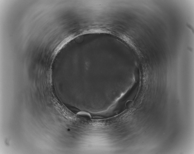 X0000102241173200808151746