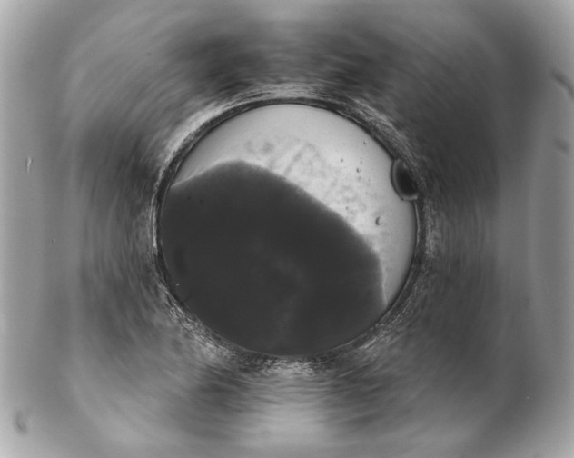 X0000102241174200808151746