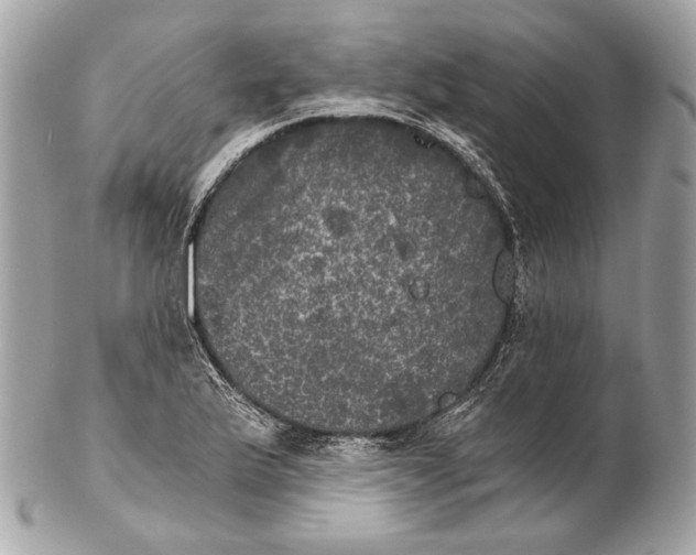 X0000102241175200808151746