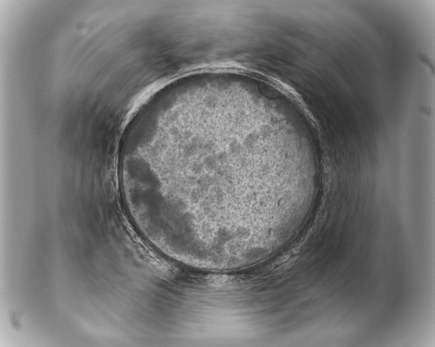 X0000102241176200808151746