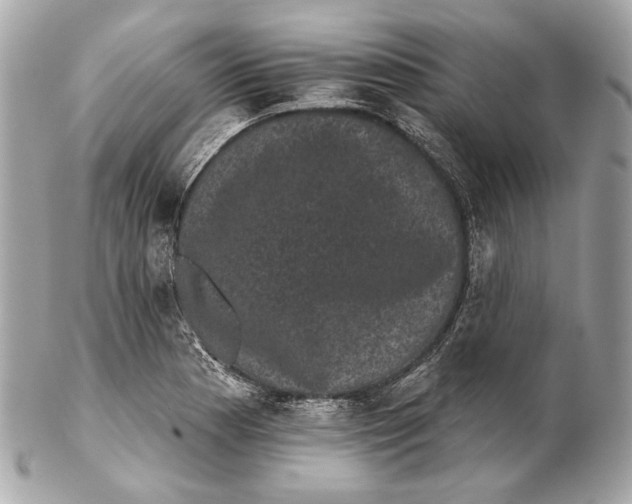 X0000102241177200808151746