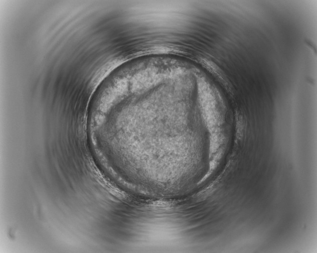 X0000102241178200808151746