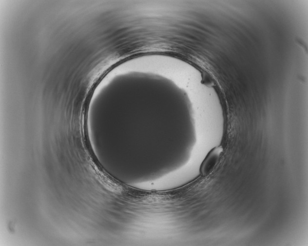 X0000102241179200808151746