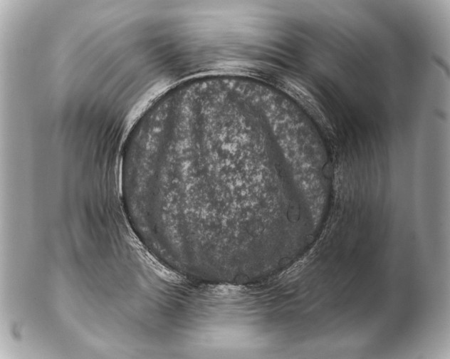 X0000102241180200808151746