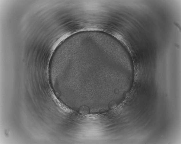 X0000102241181200808151746