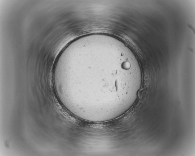 X0000102241182200808151746