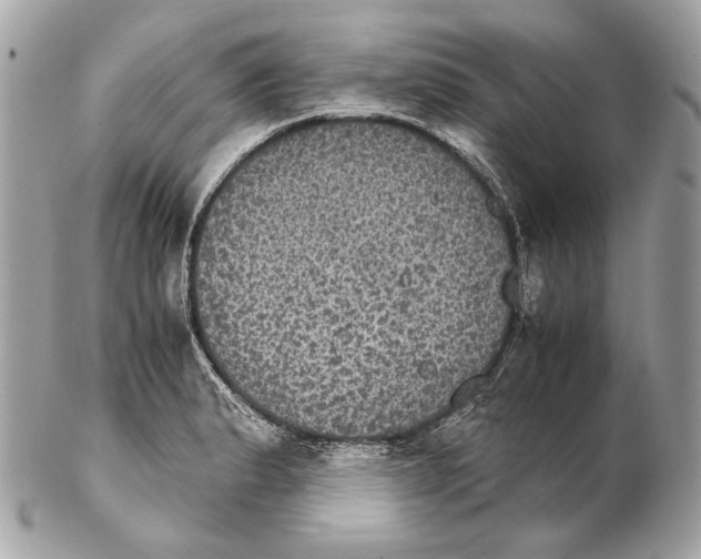 X0000102241183200808151746