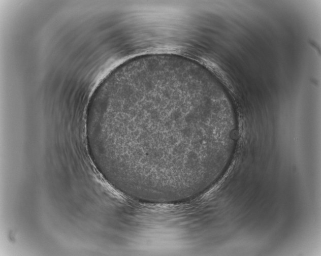 X0000102241184200808151746