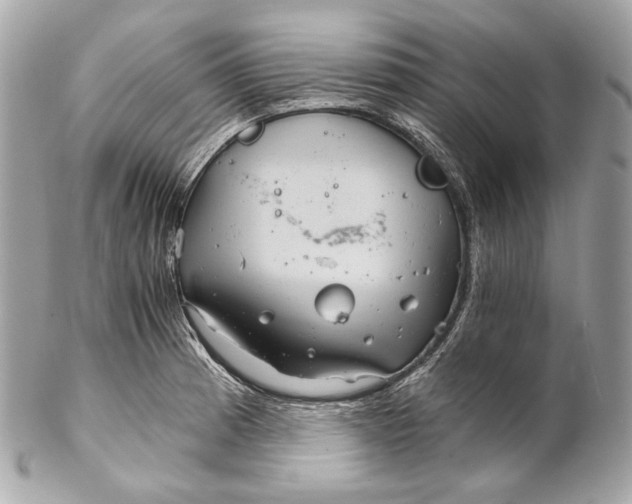 X0000102241185200808151746