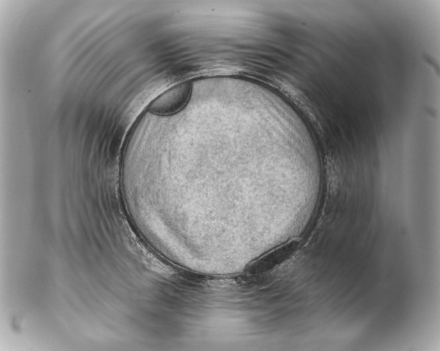 X0000102241186200808151746