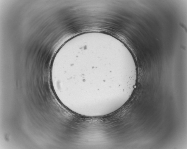 X0000102241187200808151746