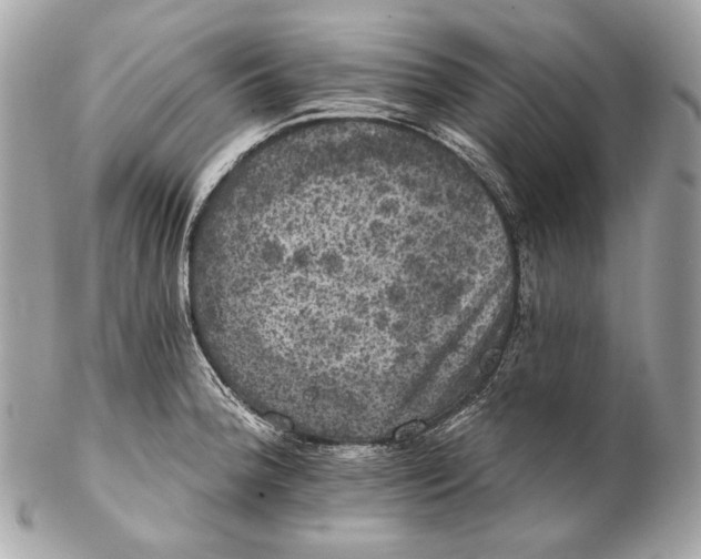 X0000102241188200808151746