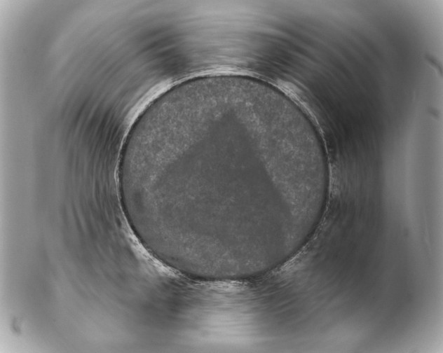 X0000102241189200808151746