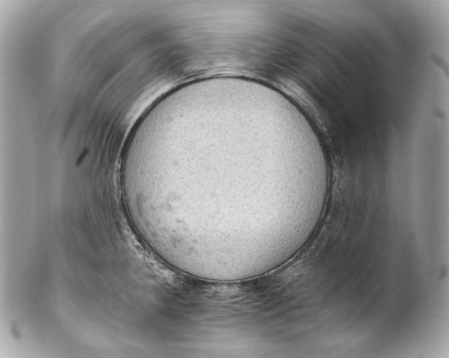 X0000102241190200808151746