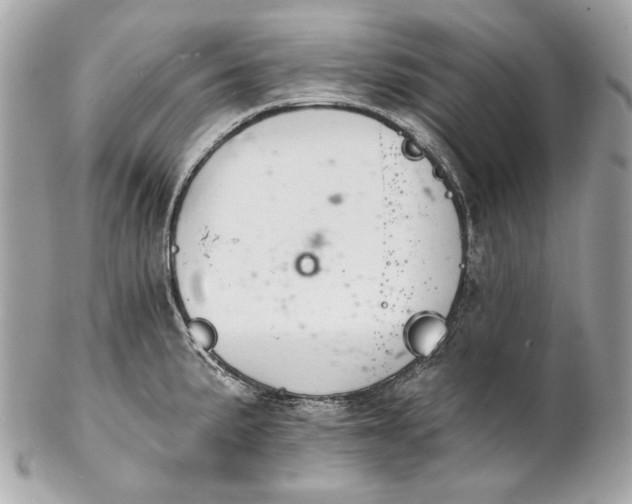 X0000102241191200808151746