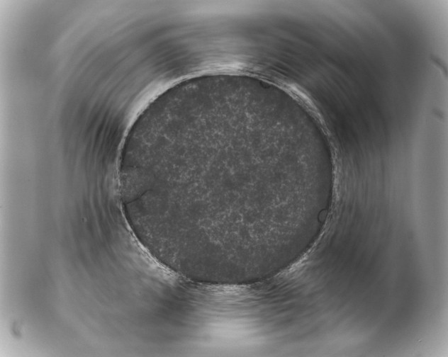 X0000102241192200808151746