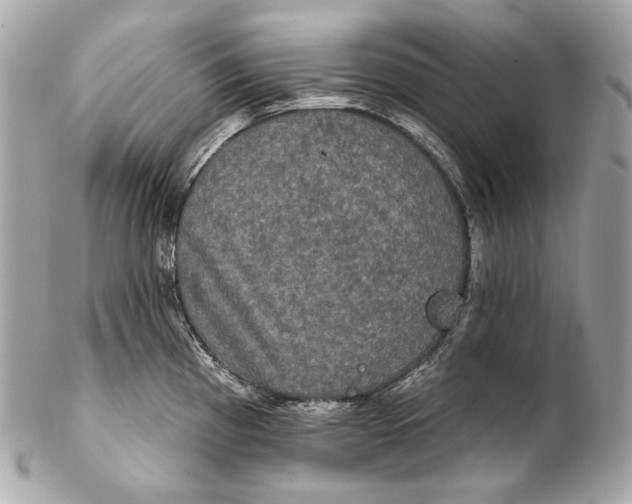 X0000102241193200808151746