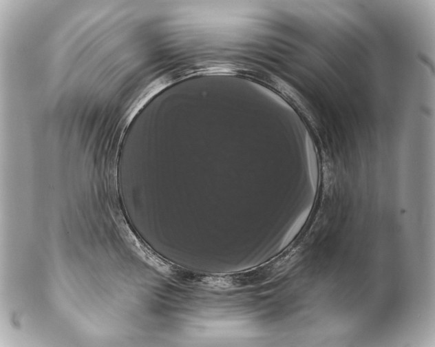 X0000102241194200808151746